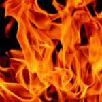 Thought Leadership and Dosha Healing (Part 2)