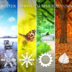 Diet Tips for Balancing Vata Dosha