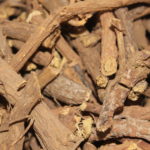 Why Ayurveda Counsels Panchakarma?