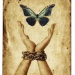 Healthy Living Through “Dosha Healing” By Dr. Sonica Krishan
