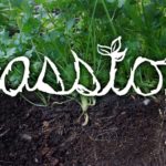 Ayurveda Lifestyle Guide