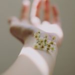 Why Natural Diet Is In?