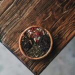 How To Detox With Ayurveda Tips?